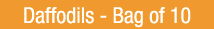 Daffodil Value Mix - Bag of 10