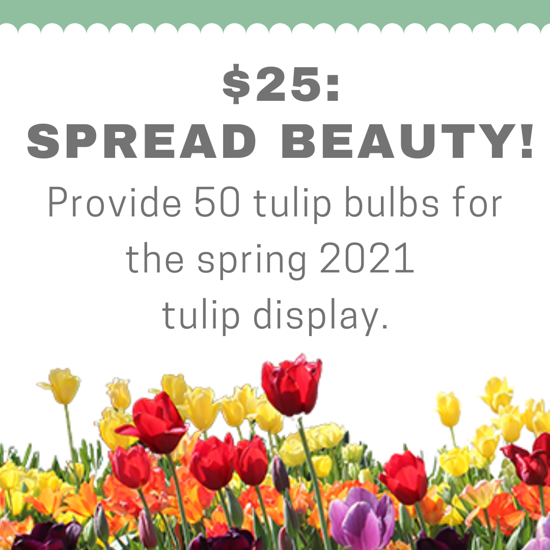 $25: Spread Beauty!