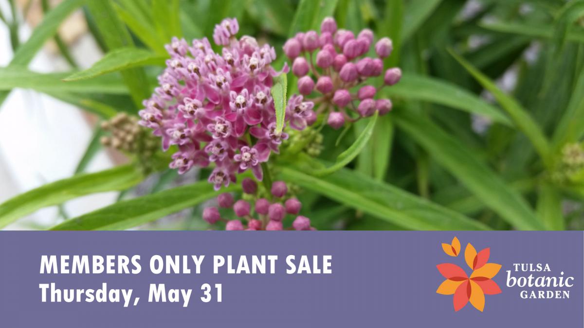 Members Only Plant Sale - milkweed