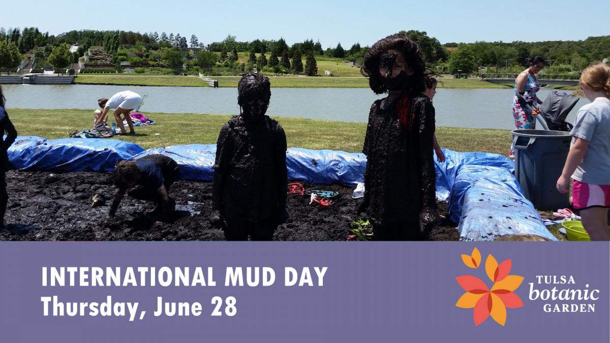 International Mud Day