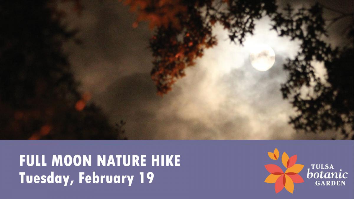 Full Moon Nature Hike