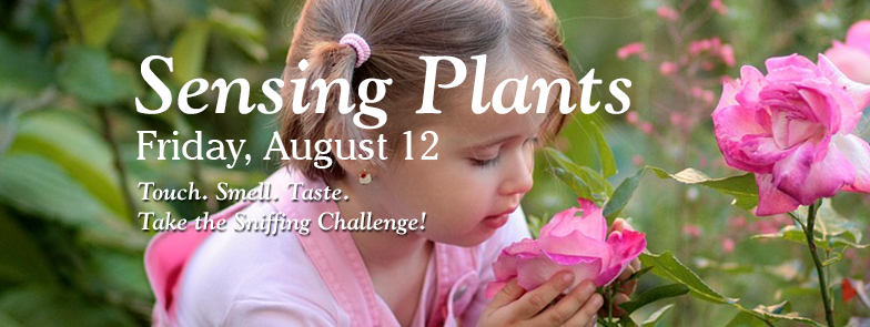 Sensing Plants Tulsa Botanic Garden