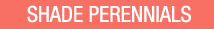 Shop Shade Perennials 