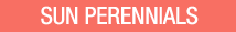 Shop Sun Perennials