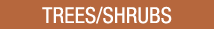Shop Trees/Shrubs