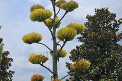 20230612_125344-scaled