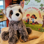 20230330_180948-plush-raccoon