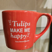 20230406_201306-Tulips-make-me-happy-mug