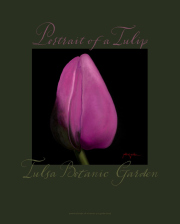 portrait-of-tulip-poster.jpg