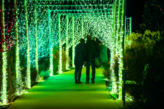 BotanicGardenofLights-6B1A7344