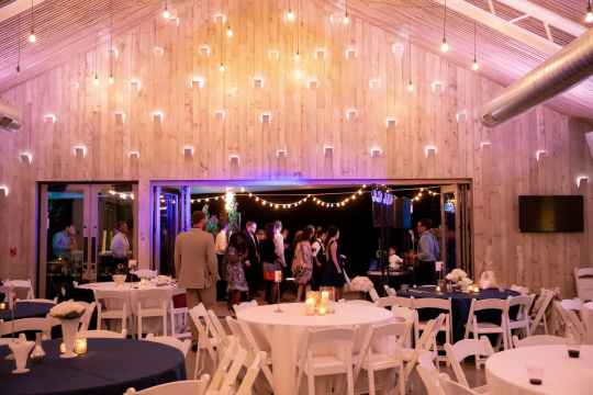 Mabee-Grange-wedding-reception-6