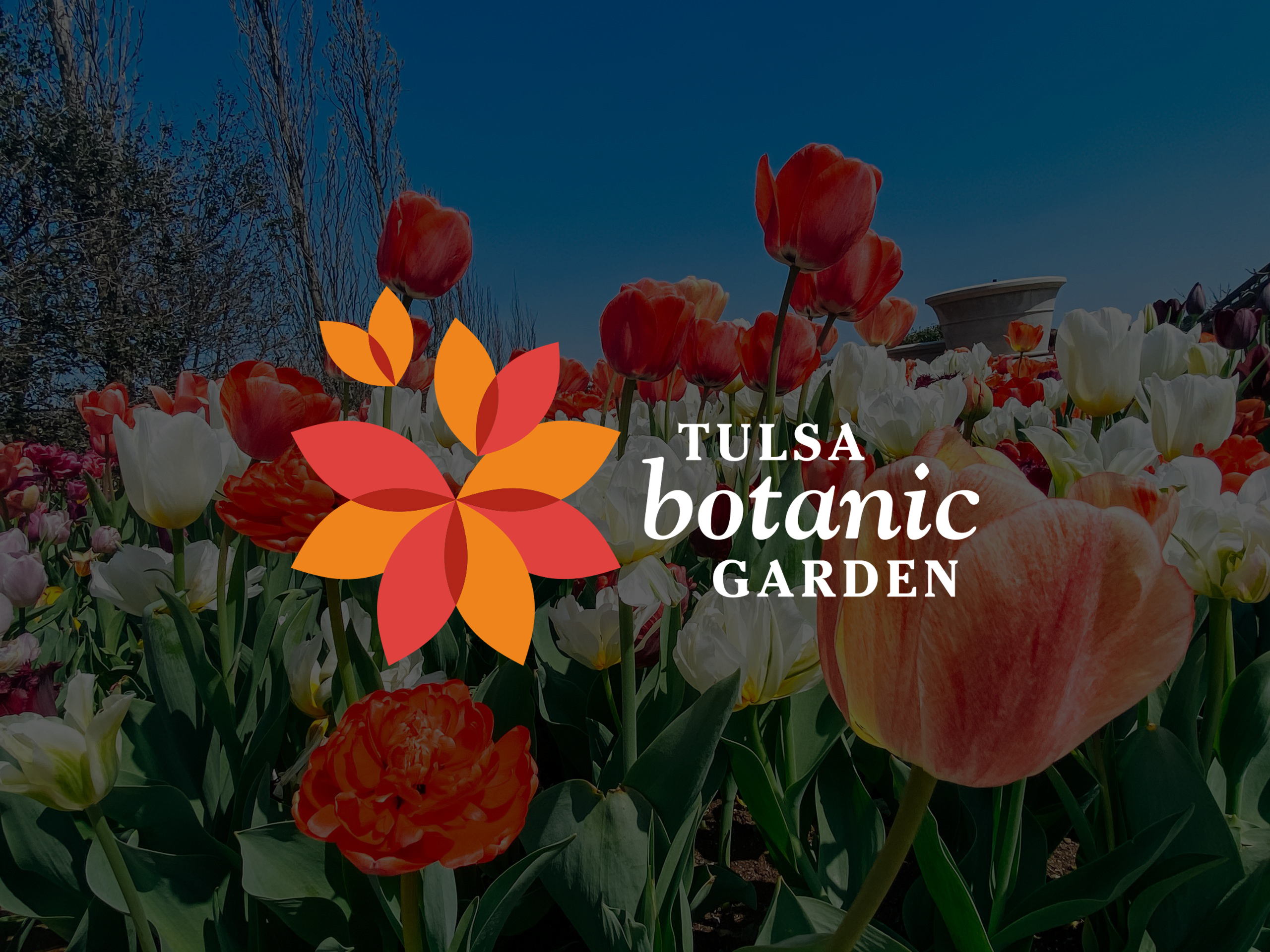 Thank you volunteers!