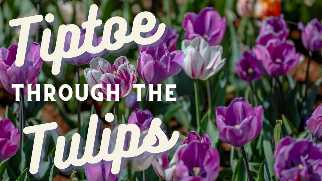 Why Is Tiptoe Through The Tulips Creepy Tiptoe Through the Tulips - Tulsa Botanic GardenTulsa Botanic Garden