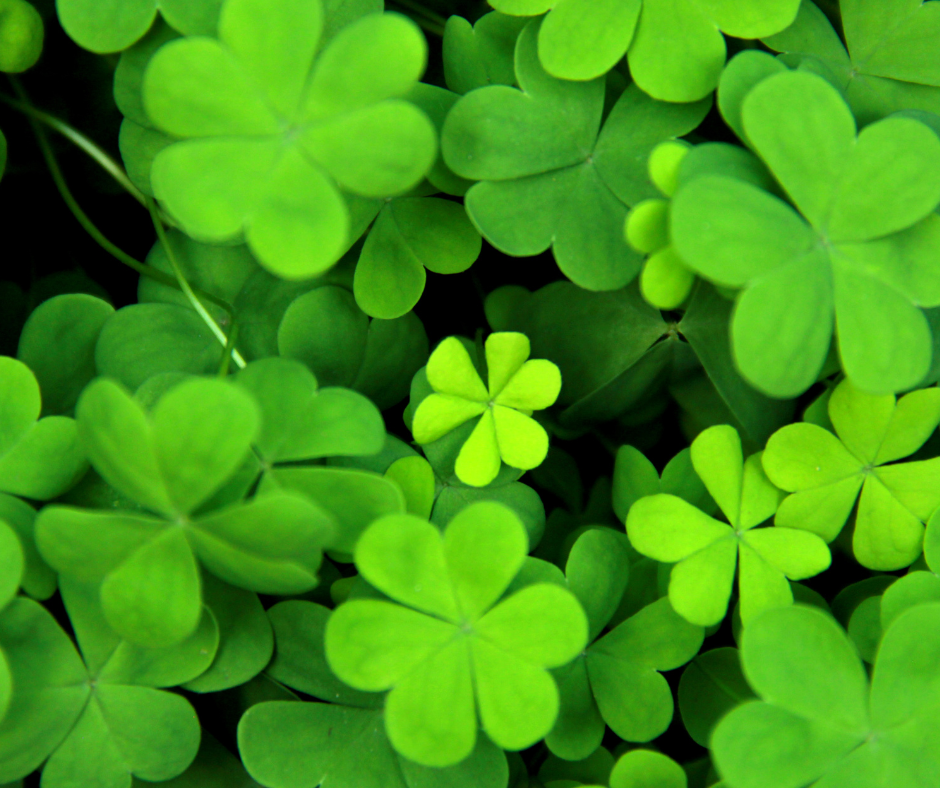 clovers
