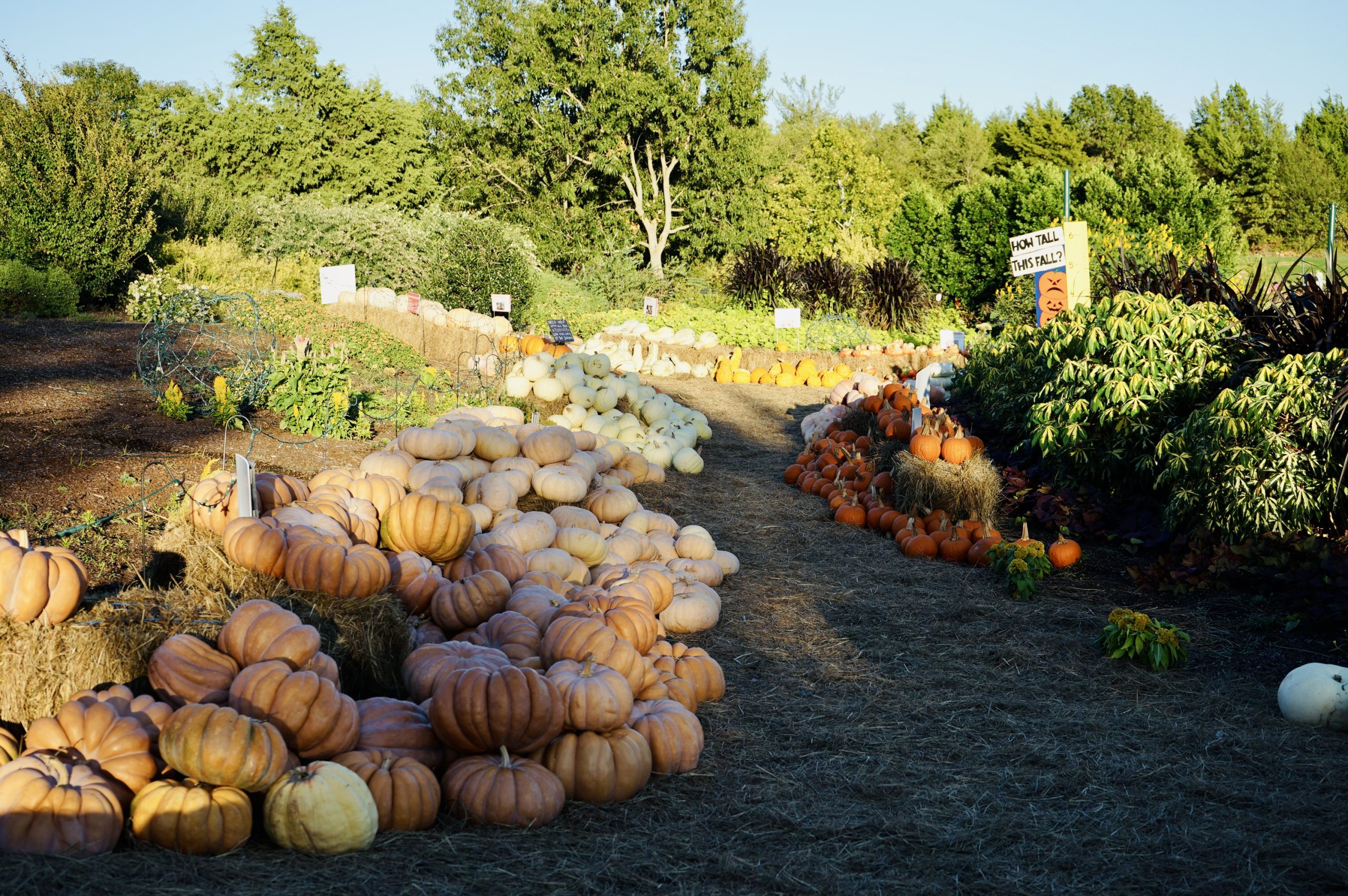 Tulsa Botanic Garden