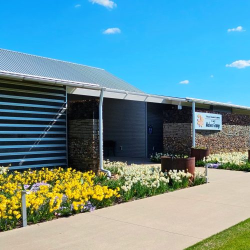 Mabee Grange Spring Blooms