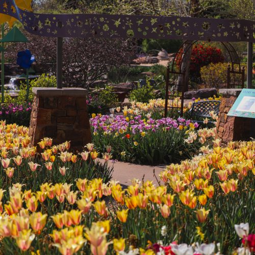 Driskill Children's Discovery Garden