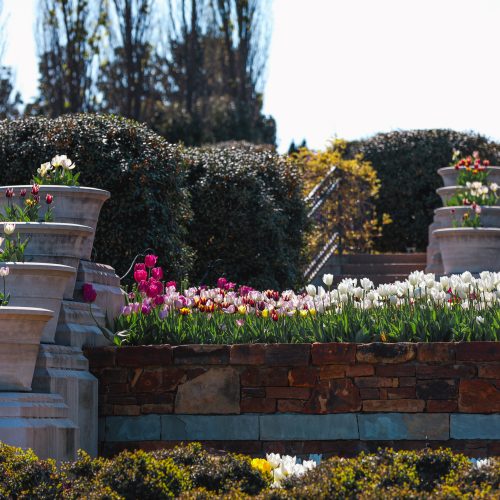 Tandy Floral Terraces
