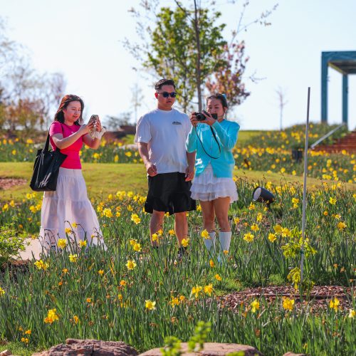 Bost Arboretum